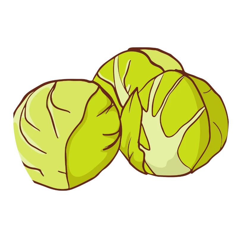Brussels sprouts Brussels cabbage sprouts cabbage sprouts