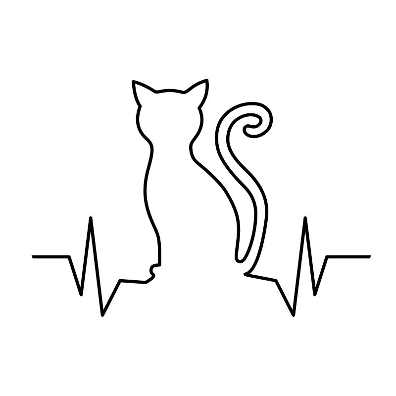 Chat battement de coeur