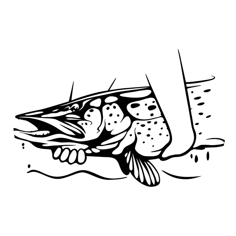 Hecht Catch & Release