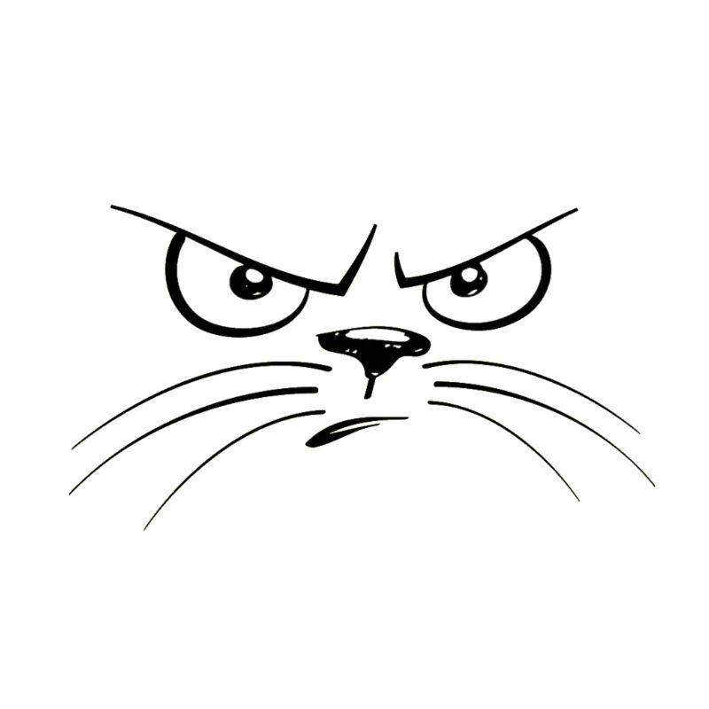 katzengesicht