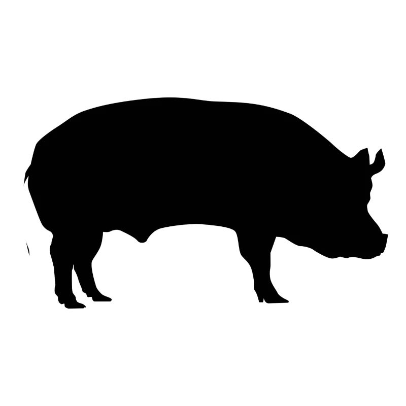 Pig / sow