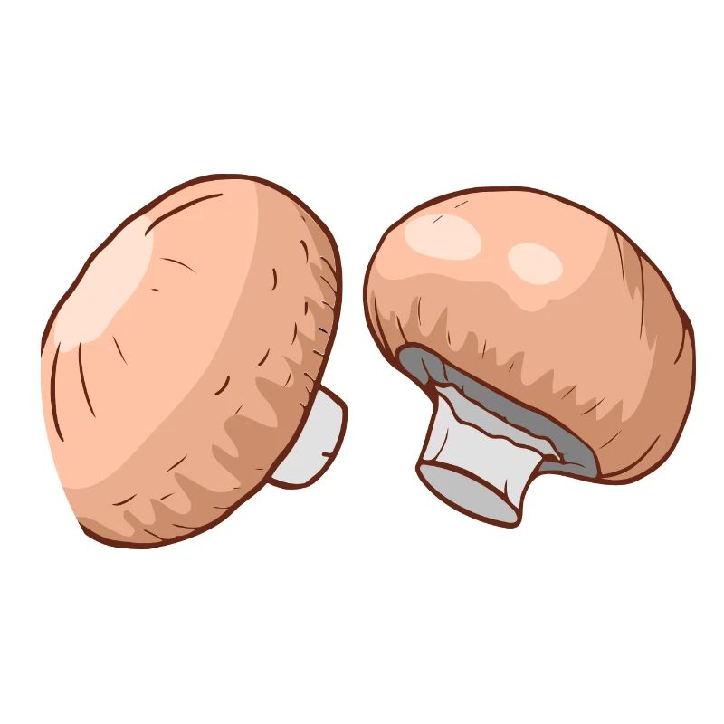 Champignons Egerlinge Angerlinge champignons