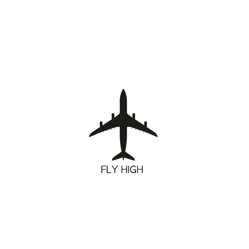 FlyHigh avion conception d'avion