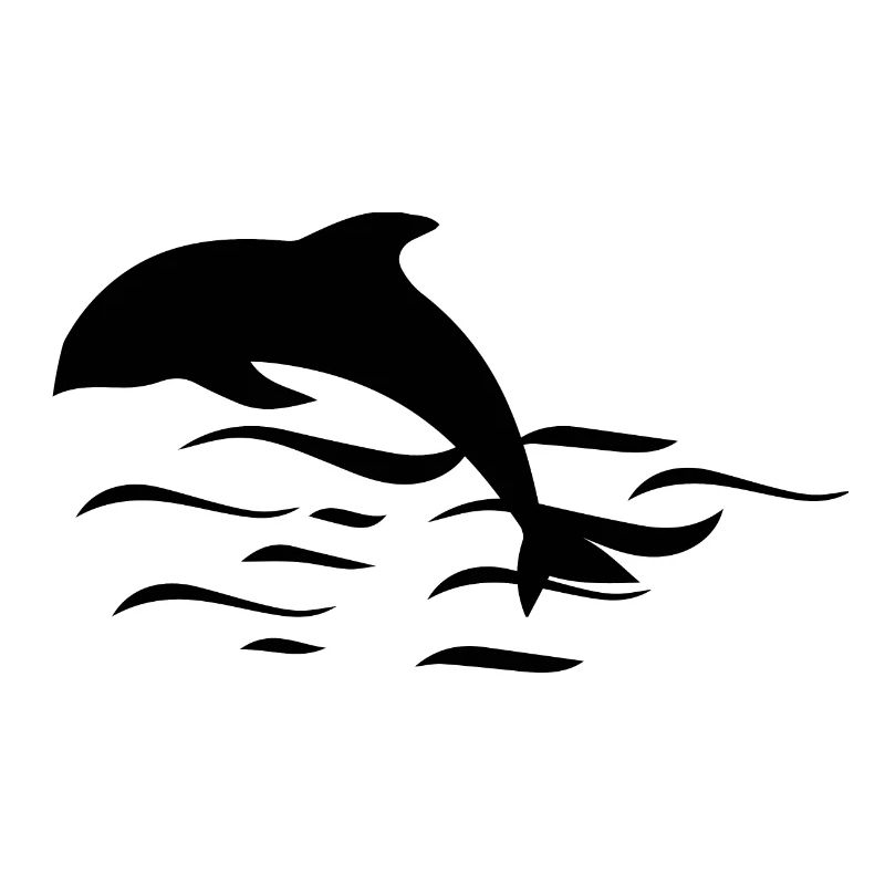 Dolphin Dolphins