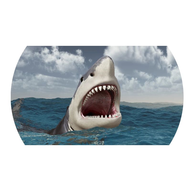 Grand requin blanc dans les mers orageuses