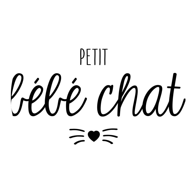 Petit bébé chat