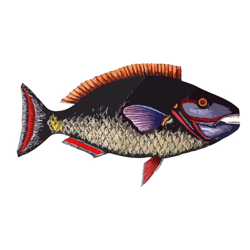 poisson