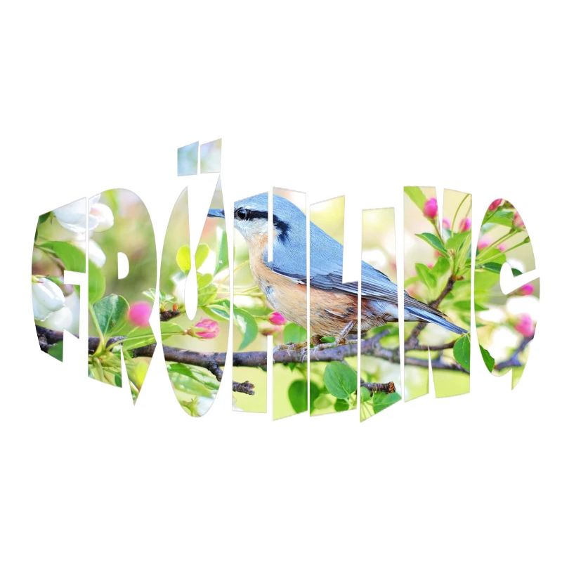spring 1