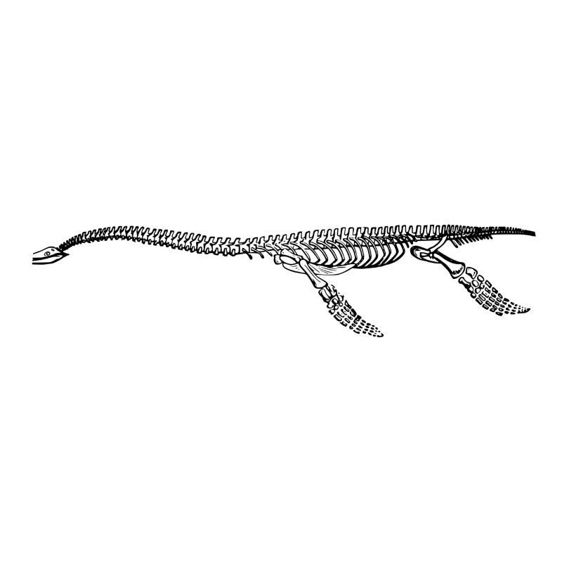 Dino 60