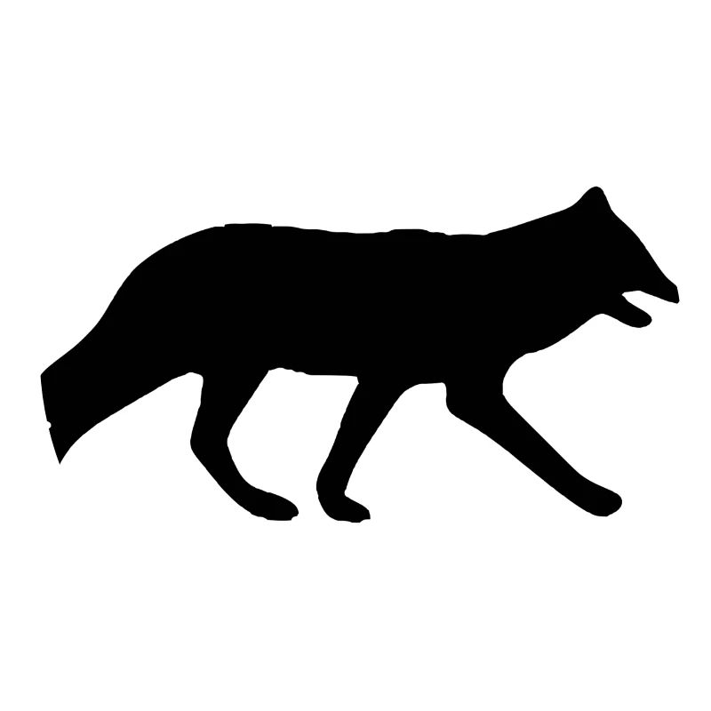 arctic fox fox11