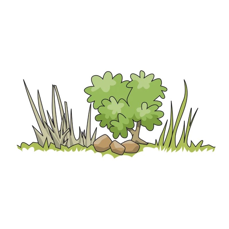 buisson