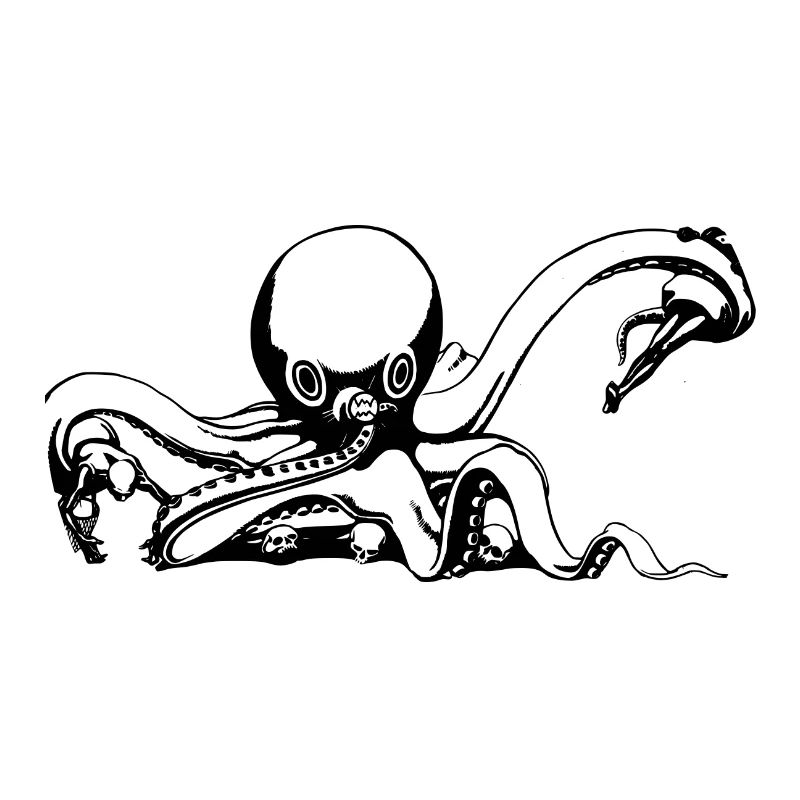 squid giant octopus octopus octopus squid sepia fish