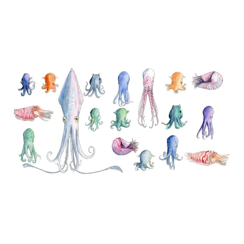 Octopus rapport