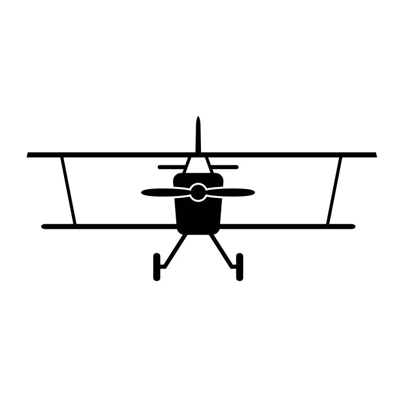 Fly a plane