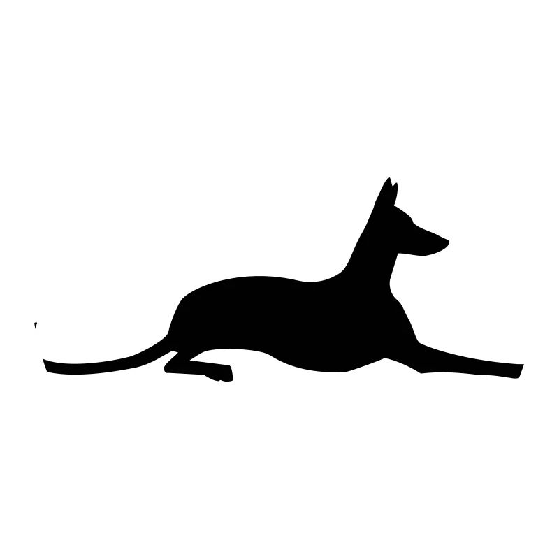 Podenco