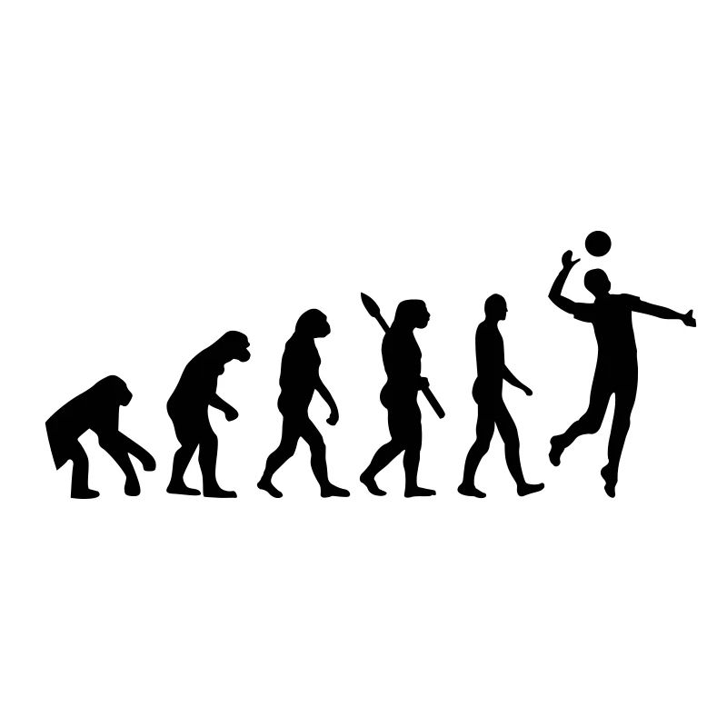Evolution Volleyball