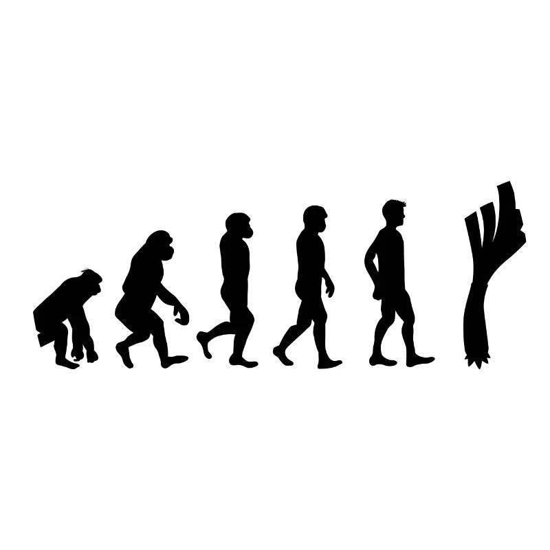 Lauch Evolution