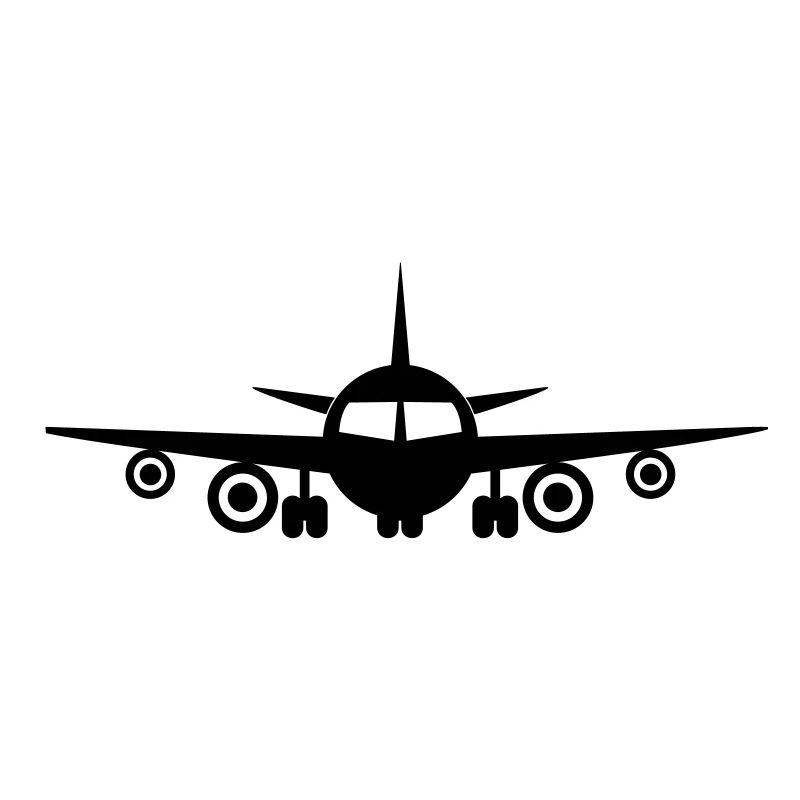 Fly a plane