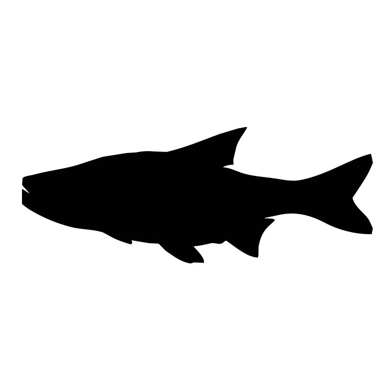 Silhouette de poisson asp