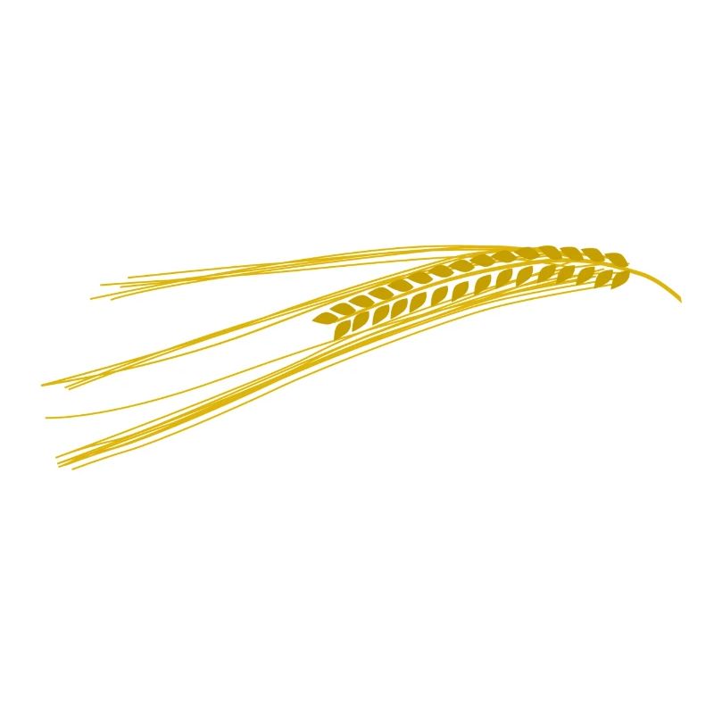 cereals corn cereal wheat wheat veggie gemuese v