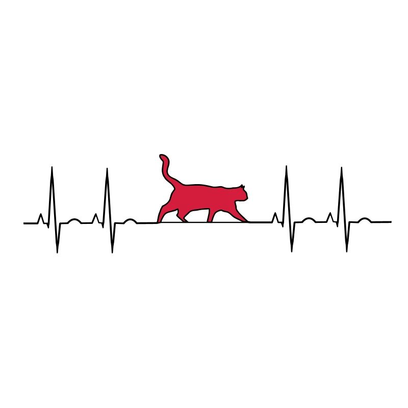 EKG Katze