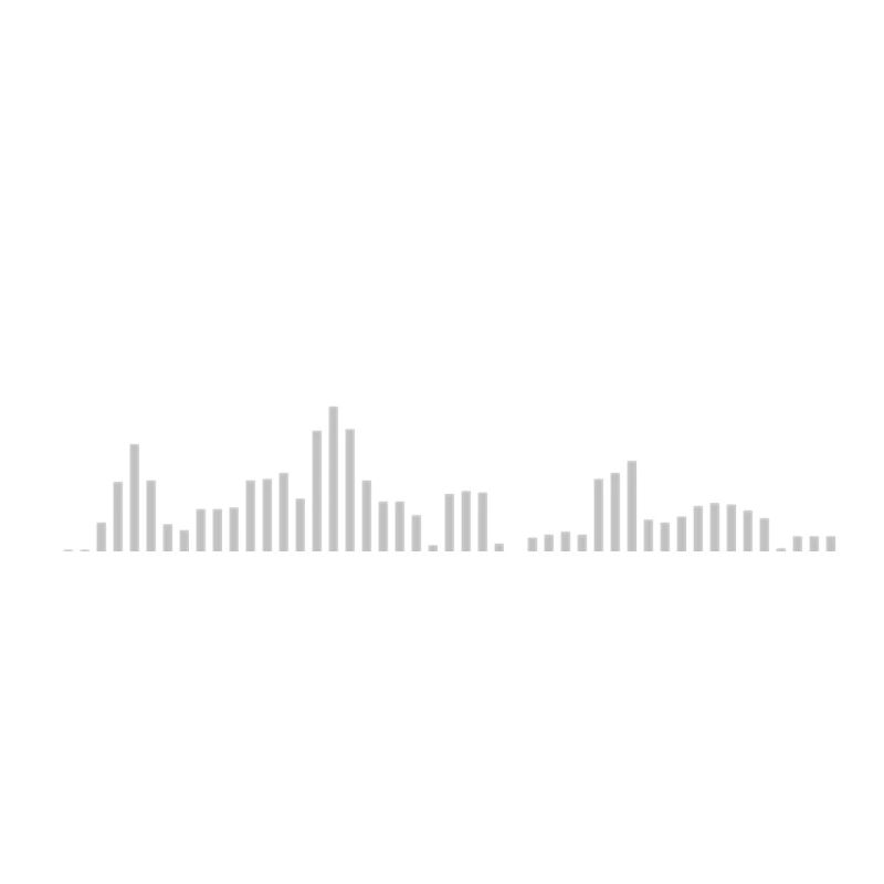 Visualizer