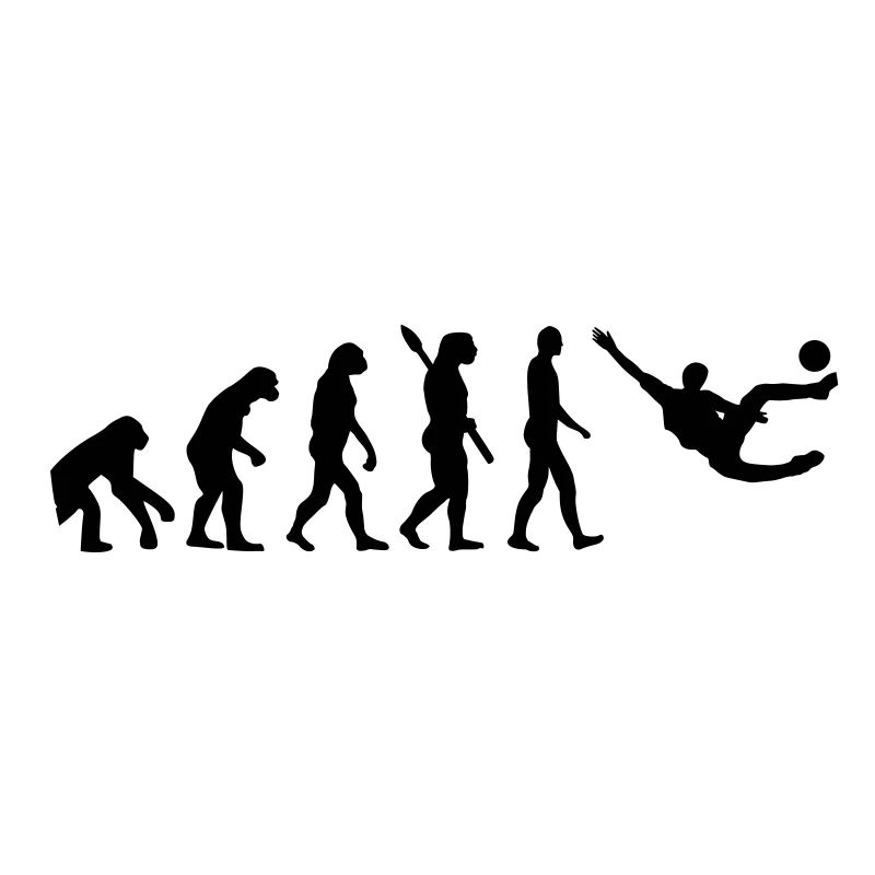 Evolution soccer