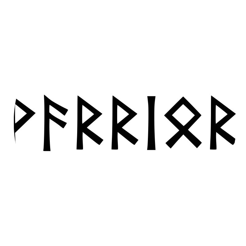 Warrior - in rune script