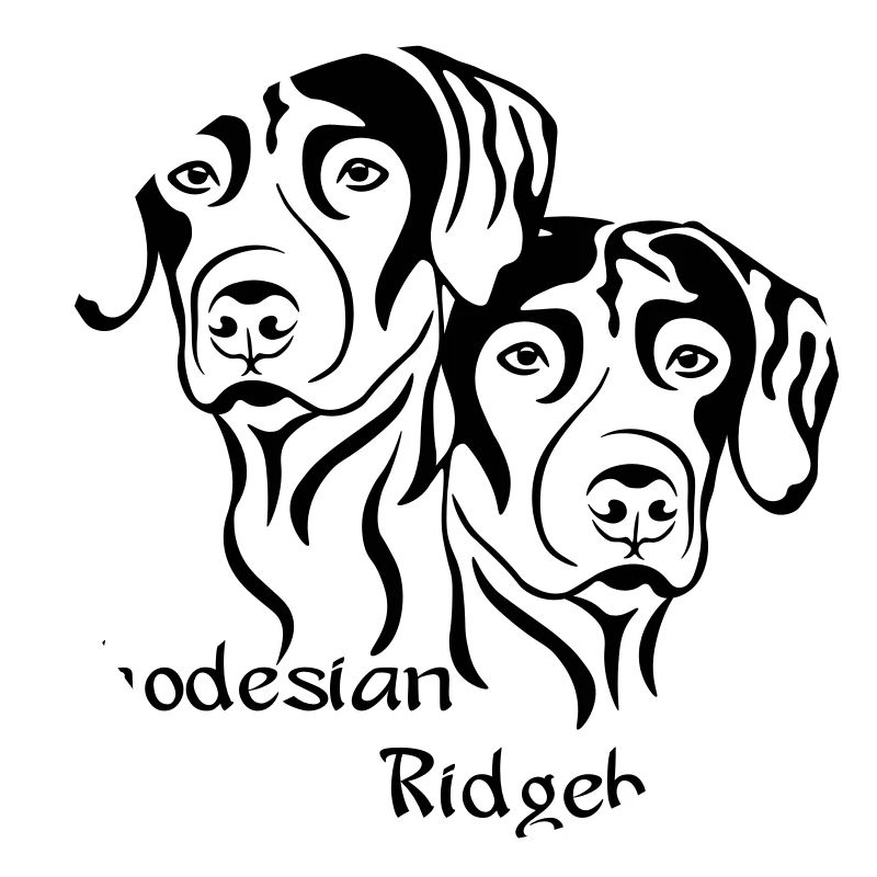 2 Rhodesian Ridgeback / helle Stoffe