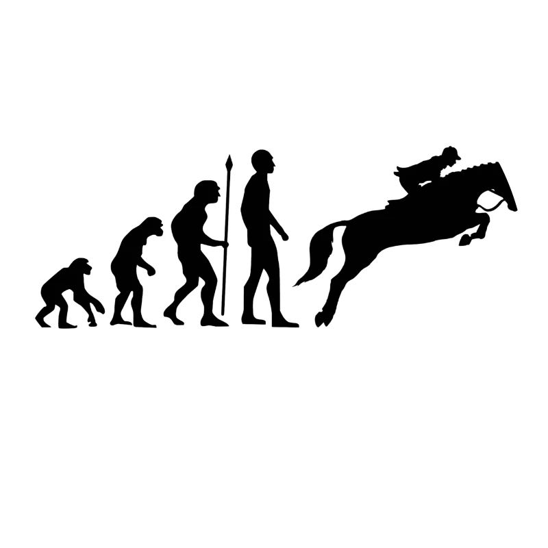 Reiterin Evolution Springreiten Pferde