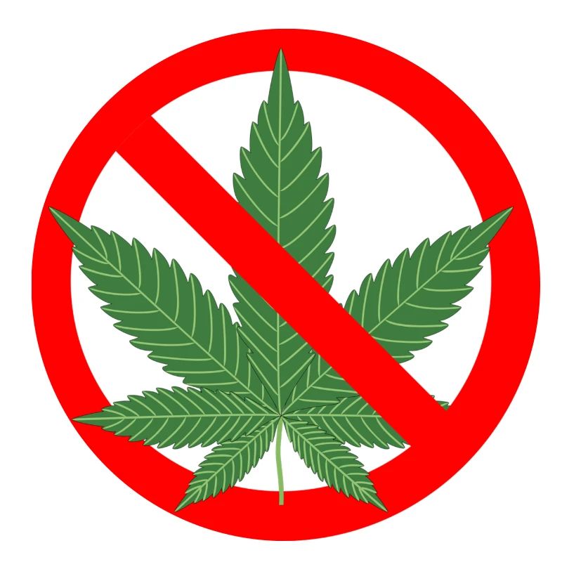 Aucune interdiction de cannabis