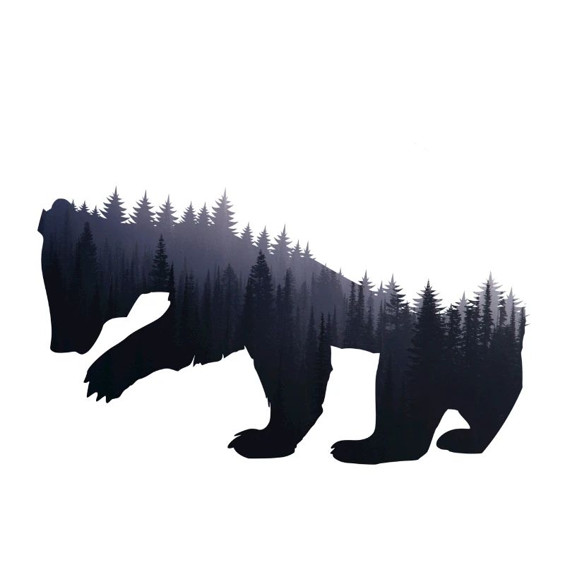 Bear Forest Nature - Gift