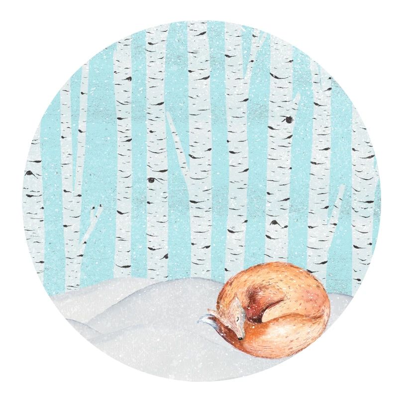 Sleeping fox in the winter forest