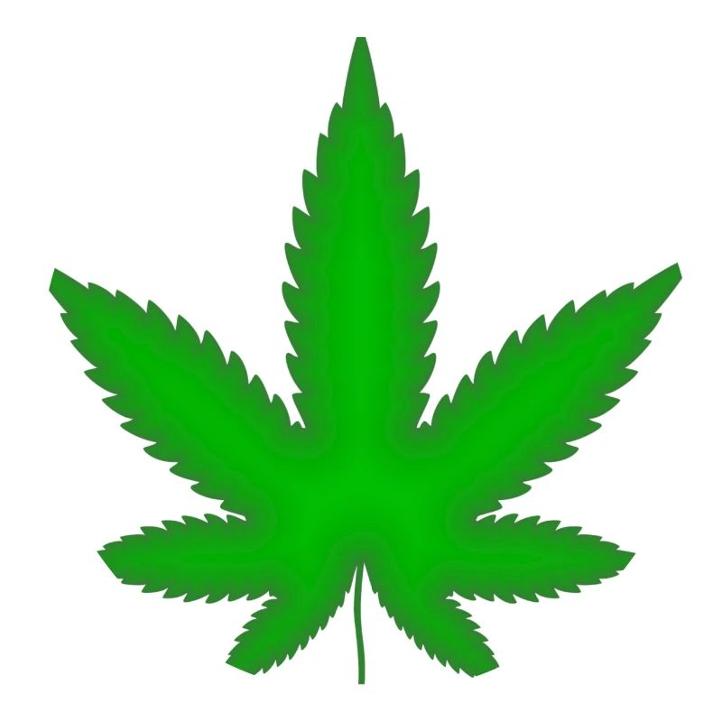 Marijuana leaf