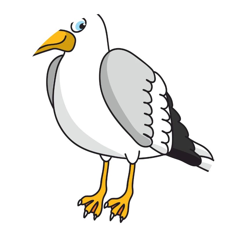 Möwe