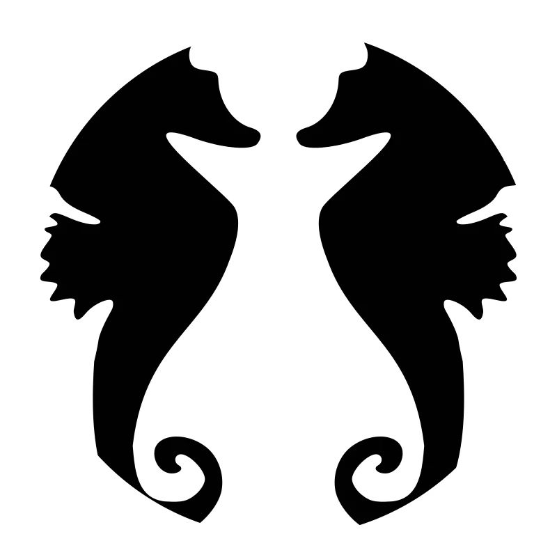 2 hippocampes