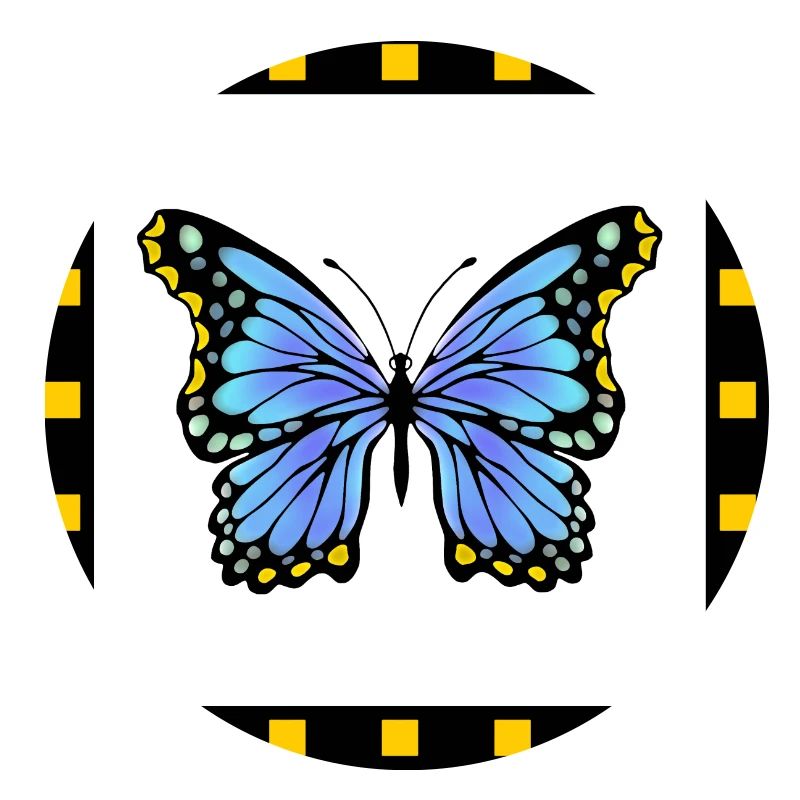butterfly