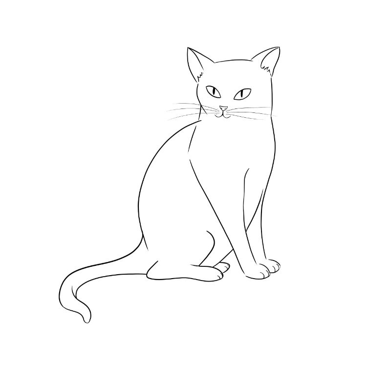 White cat
