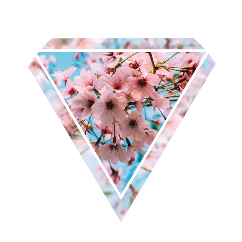 Triangle de fleurs de cerisier
