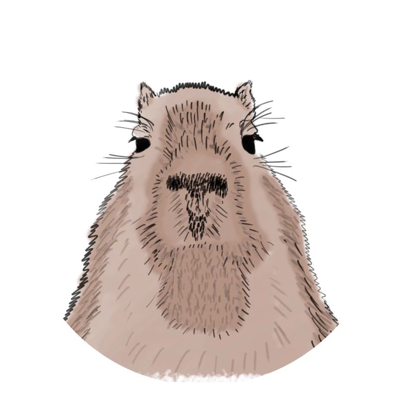 Capybara - capybara