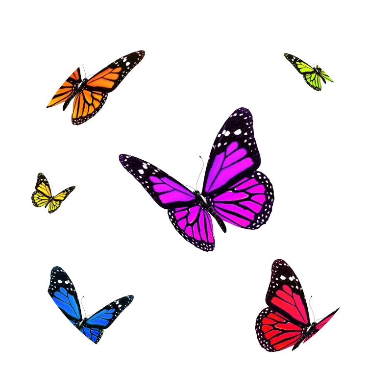 Ensemble papillon monarque multicolore