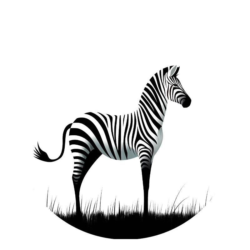 Zebra Minimalism