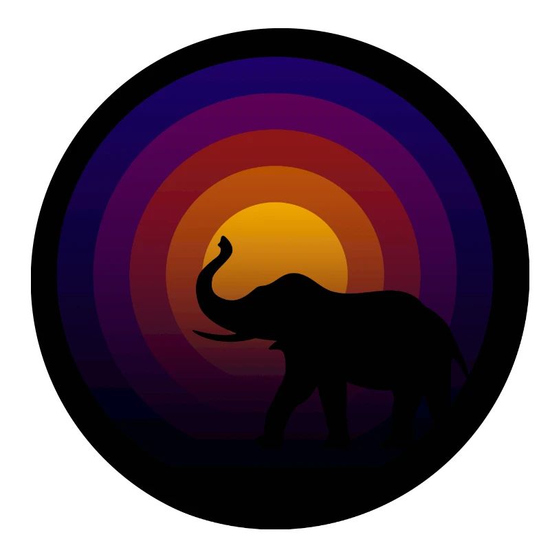 Disque vinyle avec sillon d’éléphant