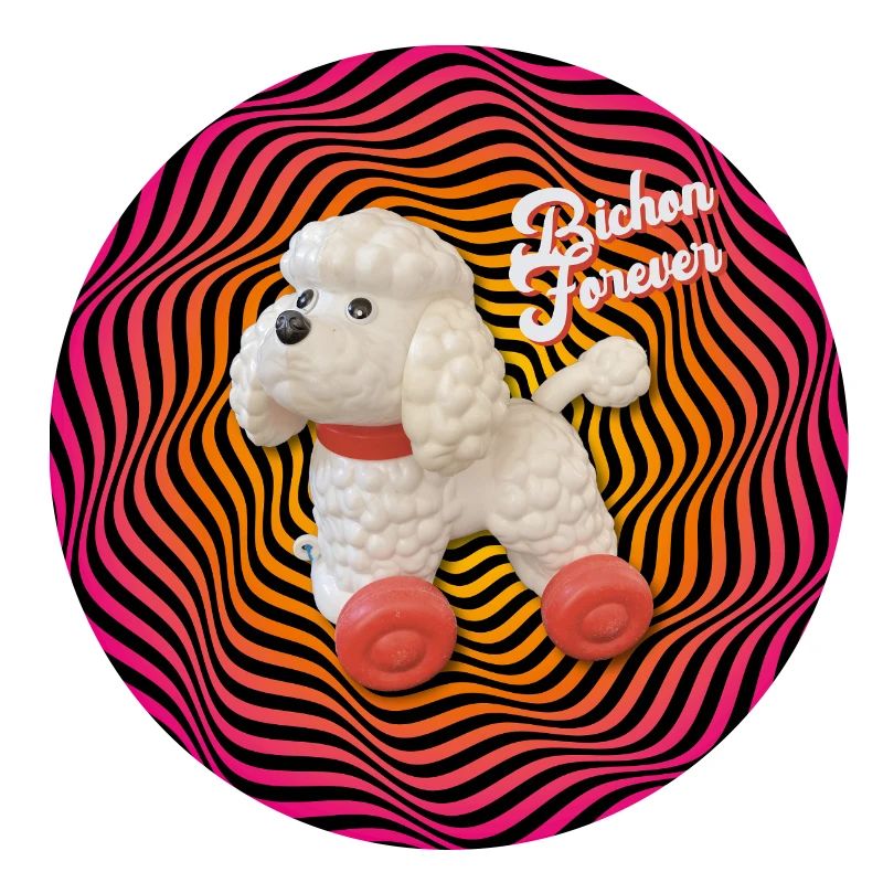 Bichon forever psychedelic round goodies