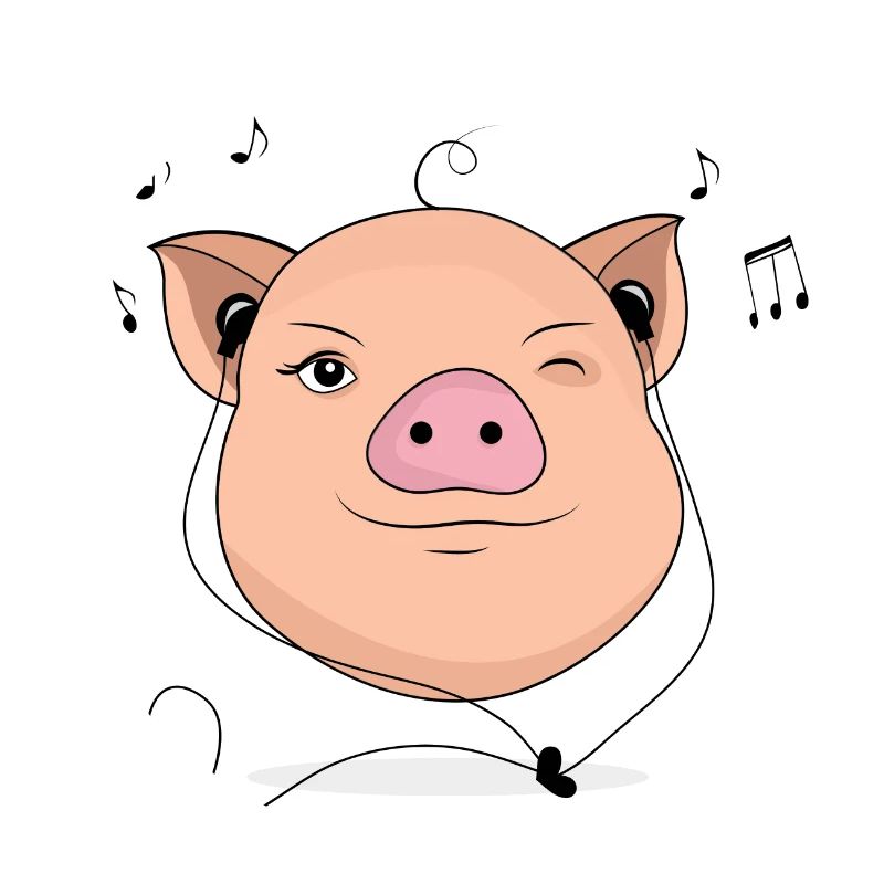 Schwein mit Kopfhörer Musik Geschenk
