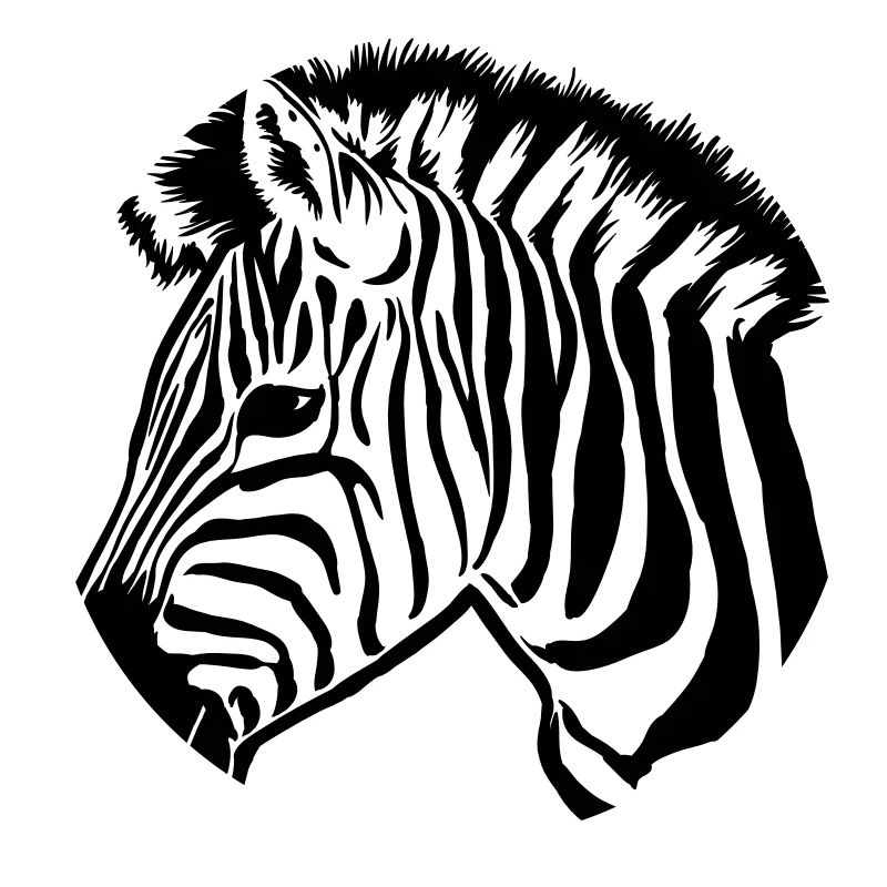 zebra dark