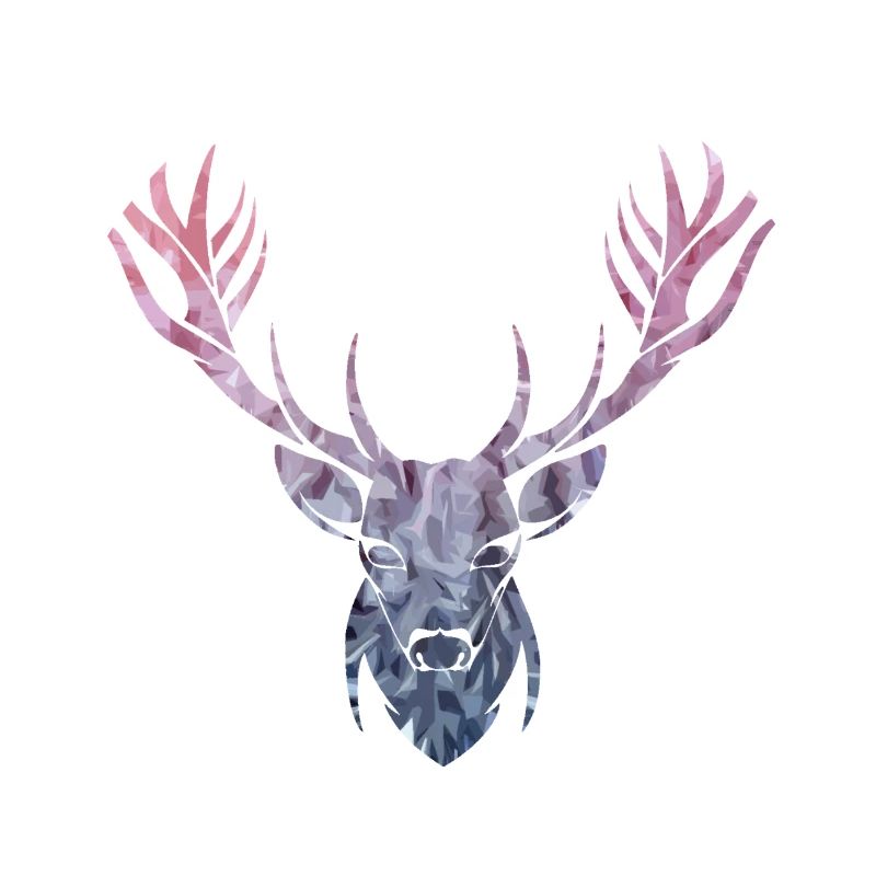 Hirsch