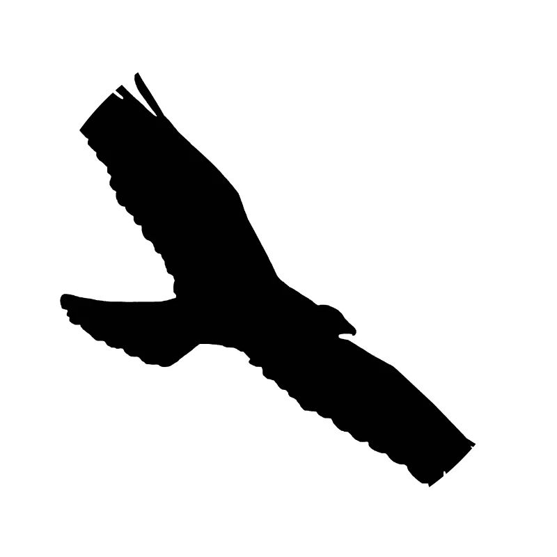 Bussard