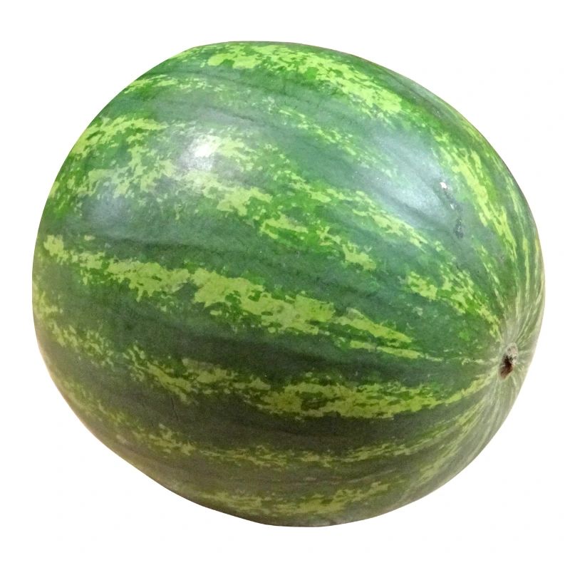 veggie pastèque pastèque melon melon gemues