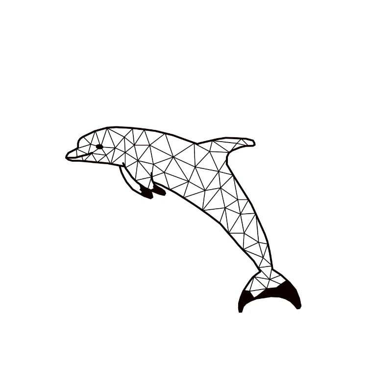 Dolphinn GeomeTRIX